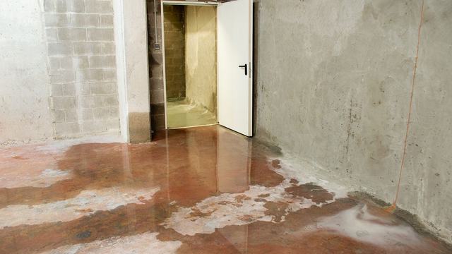 Damp basement wall and concrete floor with water staining