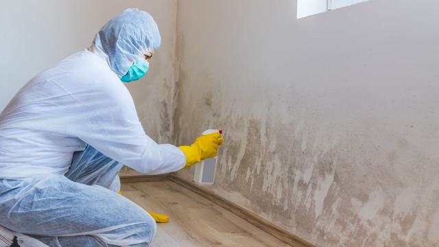 Worker in protective gear crouching to clean mold at the base of a wall