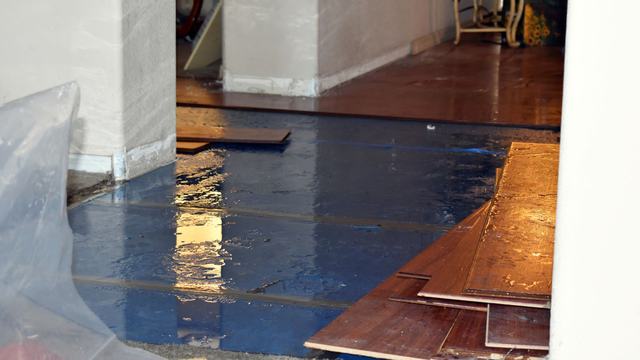 Hardwood floor boards lifted over plastic sheeting after water damage