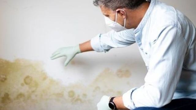 Person in a mask and gloves inspecting mold on a wall