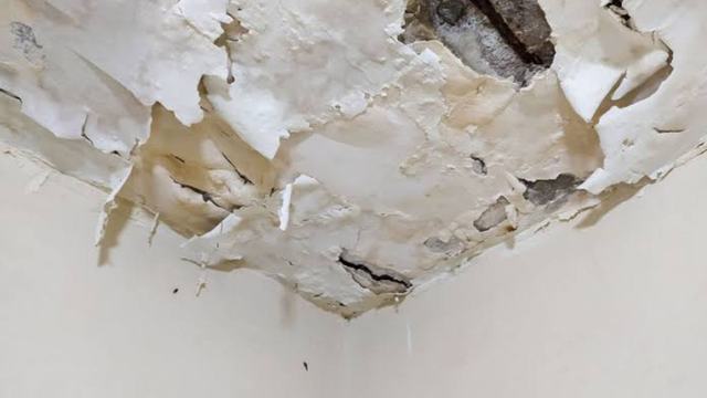 Peeling paint and a damaged ceiling after a leak